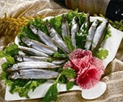 日本多春鱼